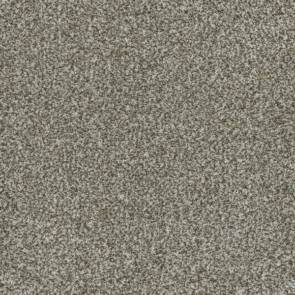 Close-up of Brazen II Pet Friendly Carpet in Clove—a textured surface with fine, light gray and white specks for a sand-like look. Its dense, uniform pattern showcases premium-quality flooring that’s both elegant and durable.