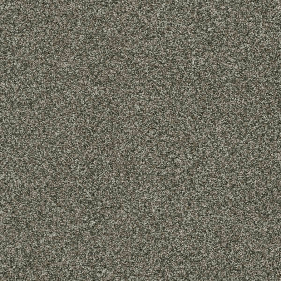 Close-up of Brazen II Pet Friendly Carpet in Millstone color, highlighting its dense, soft pile and gray-brown speckled texture—a premium flooring choice crafted for lasting durability.