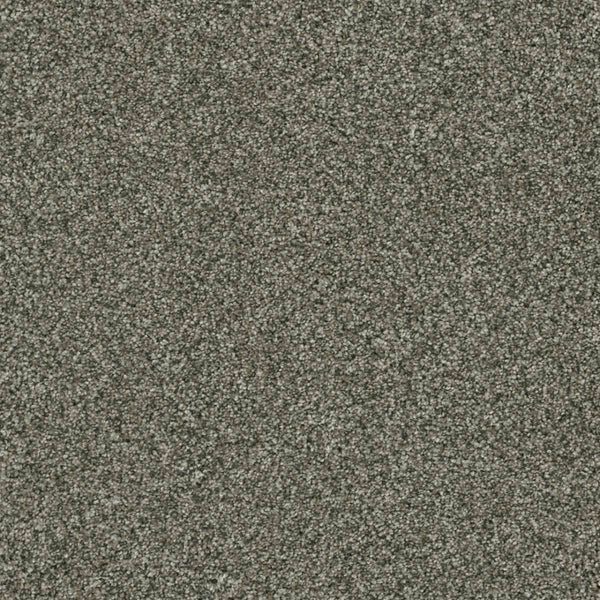 Close-up of Brazen II Pet Friendly Carpet in Millstone color, highlighting its dense, soft pile and gray-brown speckled texture—a premium flooring choice crafted for lasting durability.