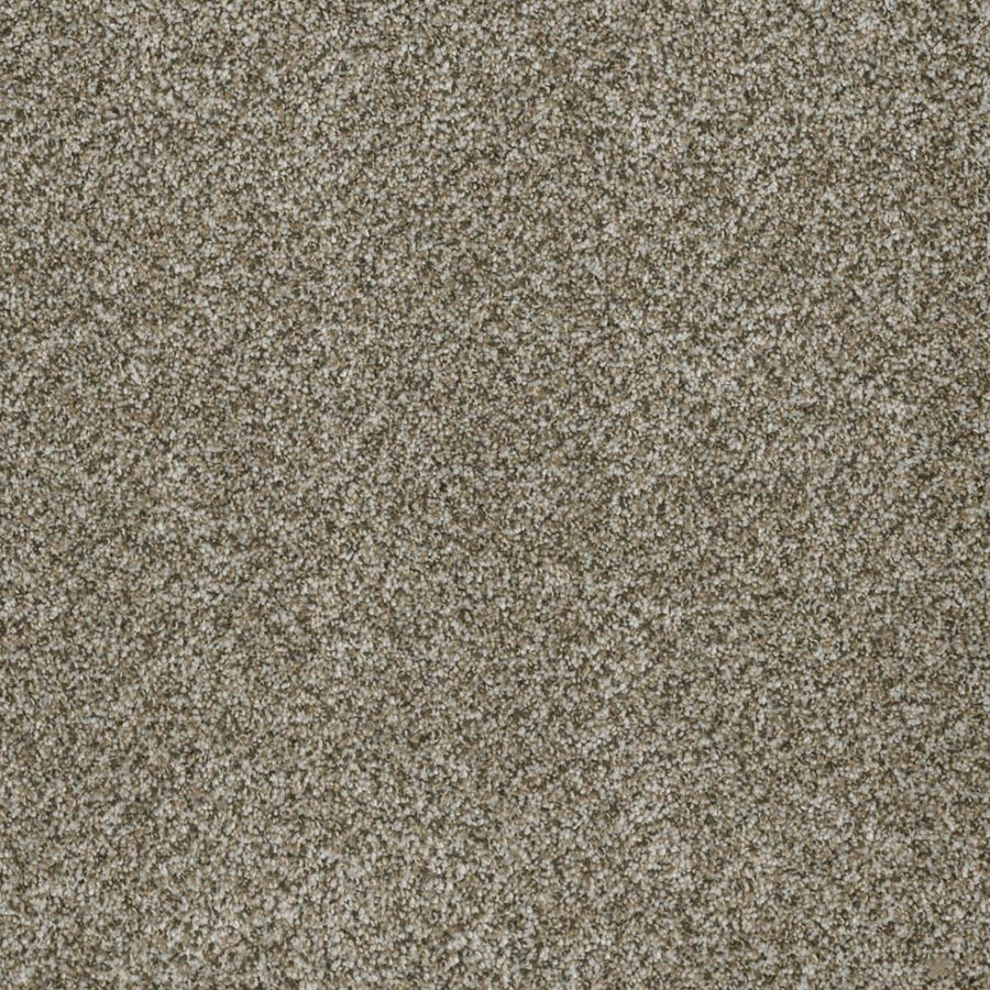 Close-up of Brazen II Pet Friendly Carpet in Moonshine, featuring a textured, light brown and beige speckled surface with a soft, plush look—premium quality flooring ideal for any space.
