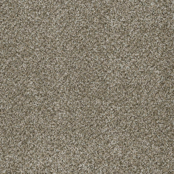 Close-up of Brazen II Pet Friendly Carpet in Moonshine, featuring a textured, light brown and beige speckled surface with a soft, plush look—premium quality flooring ideal for any space.