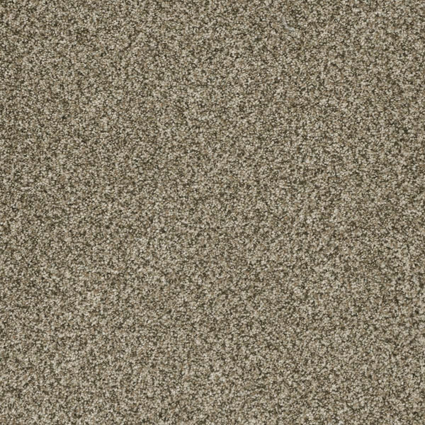 Close-up view of Brazen II Pet Friendly Carpet in Sedona, highlighting its dense, textured fibers and a blend of tan, beige, and gray tones—showcasing durable flooring with premium quality craftsmanship.