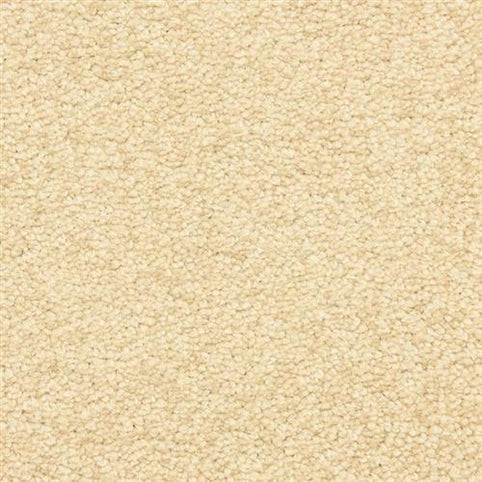 Close-up of Morgan Bay Family Friendly Carpet in Brazil Nut color, featuring a light beige, textured surface with small, tightly looped fibers for a soft, uniform look; durable and ideal for high-traffic family spaces.