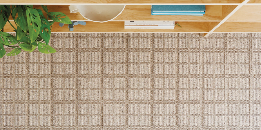 A beige checkered carpet beneath a light wooden shelf. On the shelf are a green potted plant, a white mug, a small stack of books, and a closed blue notebook.