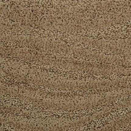 Close-up of Taittinger On Trend Carpet in Briarwood—durable, light brown, with textured, tightly packed looped fibers for a soft and uniform luxury flooring surface.
