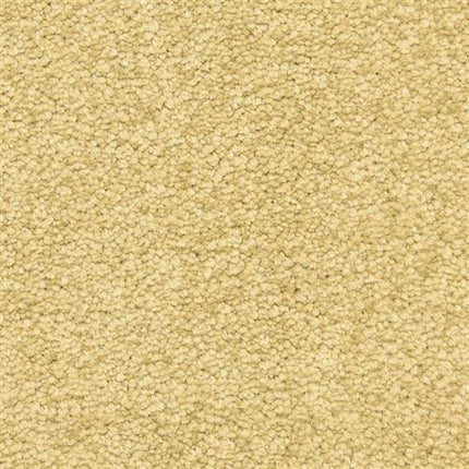 Close-up view of the Morgan Bay Family Friendly Carpet in Bronze. Its textured, stain-resistant looped pile and dense fibers create a smooth, plush look—perfect for high-traffic homes.