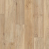 Brookfield Maple