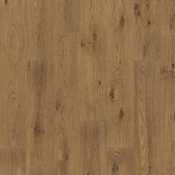 Close-up of Woodland Resort 8 11/32