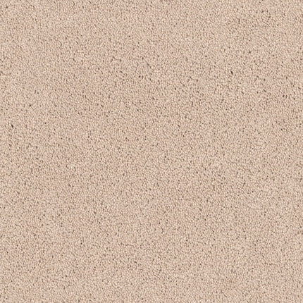 Close-up of Tribute Family Friendly Carpet in Bukhara color, featuring a light beige, stain-resistant, textured looped pile for a soft and uniform look that's perfect for families.