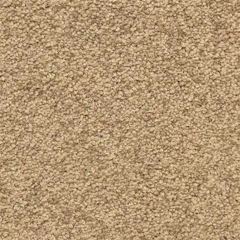 Close-up of Morgan Bay Family Friendly Carpet in Bungalow color, featuring a looped pile and durable, textured fibers—perfect for high-traffic, family spaces.