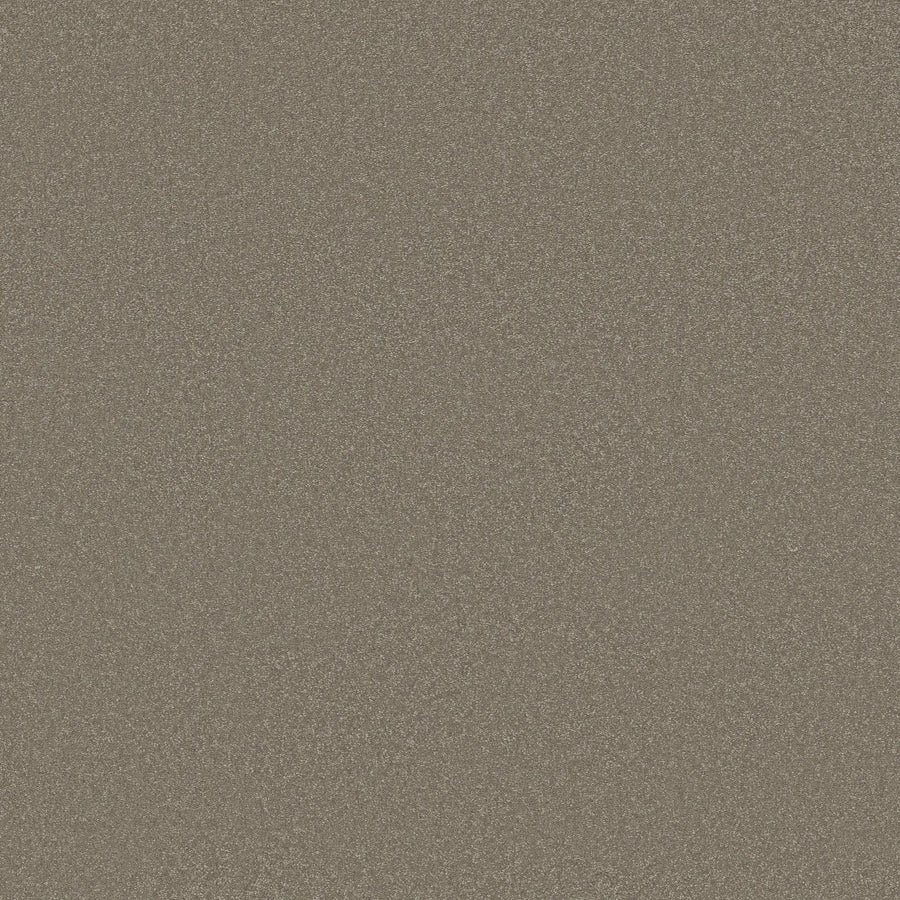 A close-up of the Awaken Spirit Pet Friendly Carpet in Bungalow color highlights its durable, speckled brown surface with a fine, grainy texture and tiny multicolored flecks throughout.