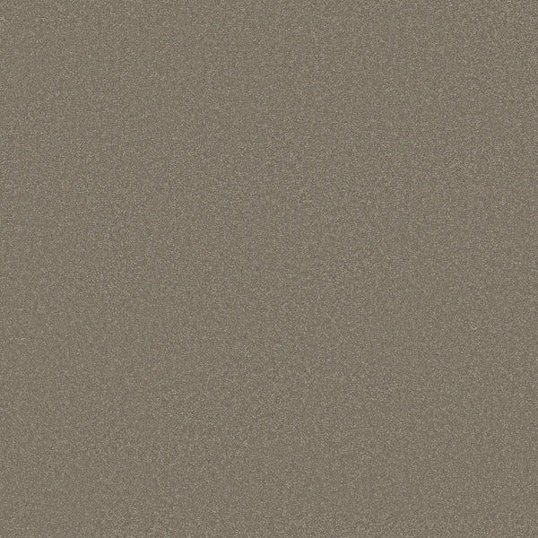A close-up of the Awaken Spirit Pet Friendly Carpet in Bungalow color highlights its durable, speckled brown surface with a fine, grainy texture and tiny multicolored flecks throughout.