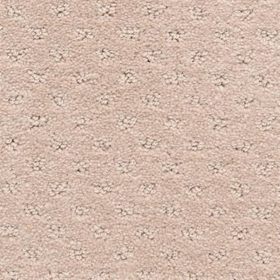 A close-up of Dreamer On Trend Carpet in Burlywood, showing its durable surface with a textured, dotted pattern and evenly spaced plush fiber loops.