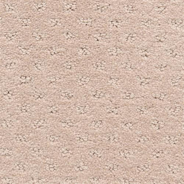 A close-up of Dreamer On Trend Carpet in Burlywood, showing its durable surface with a textured, dotted pattern and evenly spaced plush fiber loops.