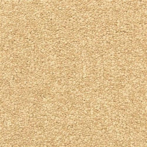 Close-up view of Morgan Bay Family Friendly Carpet in Burma, featuring a light beige, stain-resistant, looped pile with small, tightly packed loops for a soft, uniform look—perfect for busy homes.