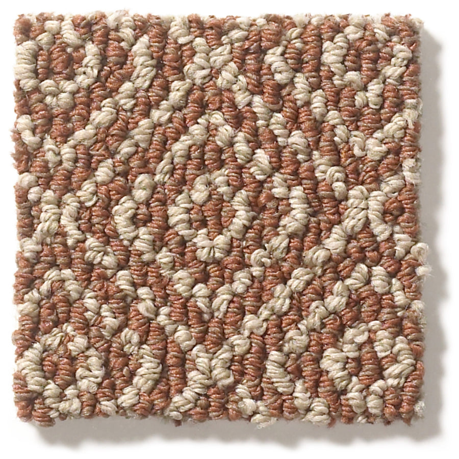 A close-up of Stroll Pet Friendly Carpet highlights its loop style texture, making it ideal for busy homes that want both durability and style.