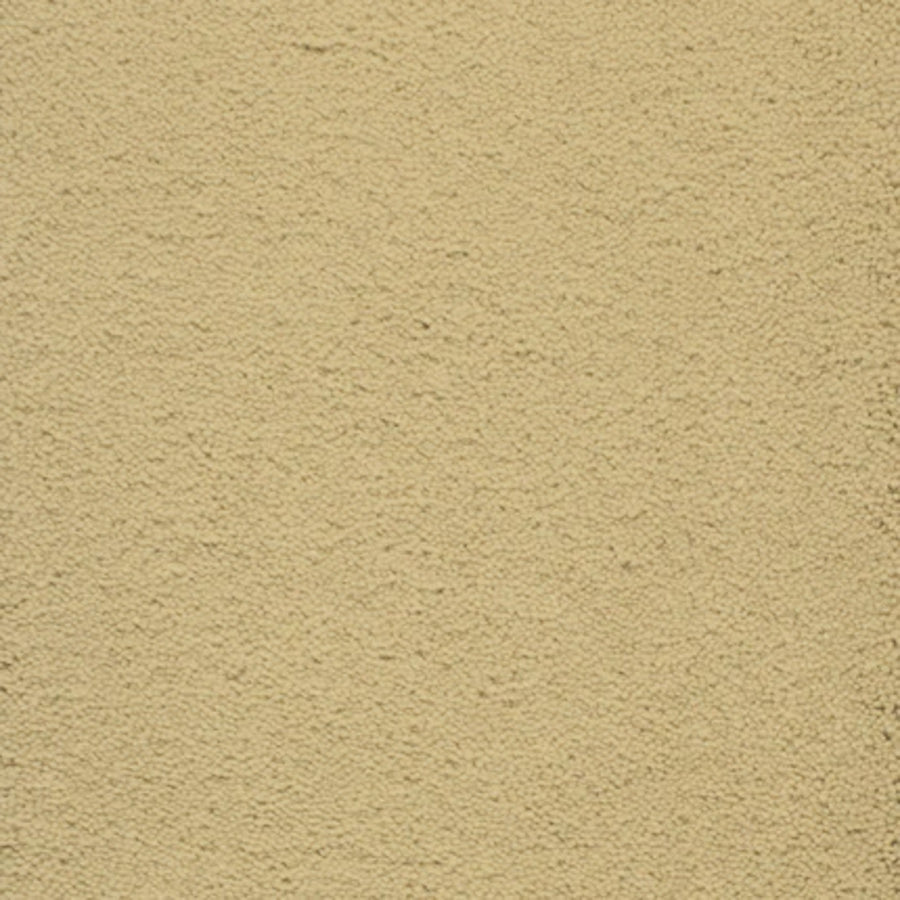 A close-up of Dolce Family Friendly Carpet in Butternut shows a beige, textured surface with a durable, sandy feel—perfect for high-traffic family areas.