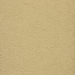 A close-up of Dolce Family Friendly Carpet in Butternut shows a beige, textured surface with a durable, sandy feel—perfect for high-traffic family areas.