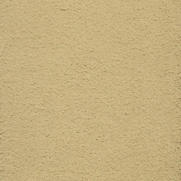 A close-up of Dolce Family Friendly Carpet in Butternut shows a beige, textured surface with a durable, sandy feel—perfect for high-traffic family areas.