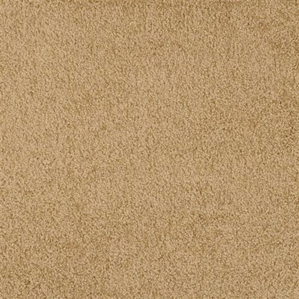 Close-up of Oceanside Family Friendly Carpet in Byzantine—a durable, soft, and textured beige carpet with a uniform, slightly speckled look, perfect for any home.