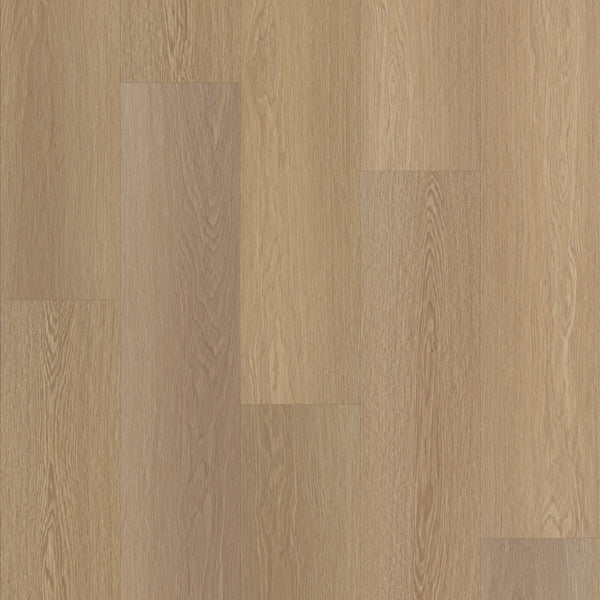 Endura 5C Plus 7