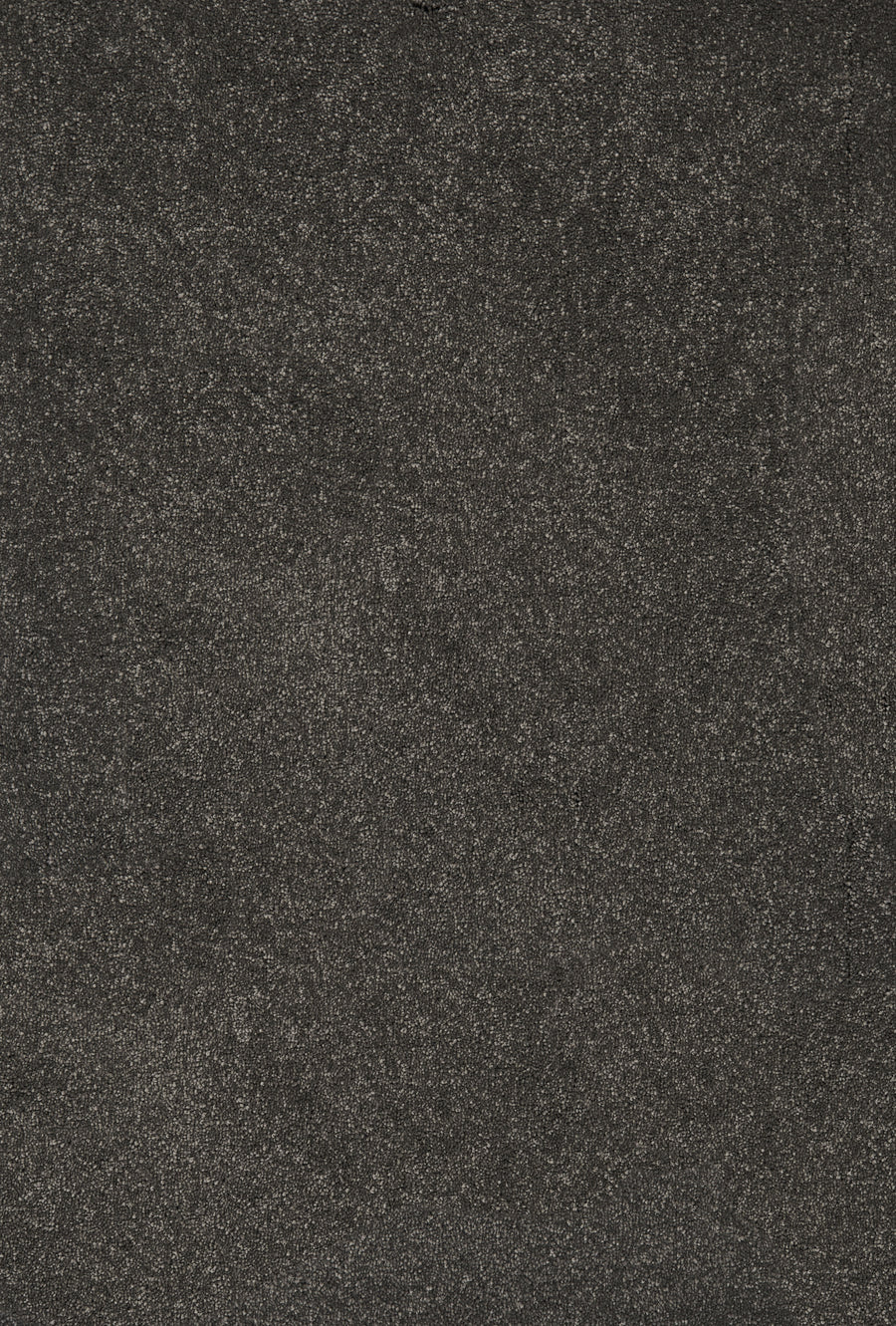 A close-up of the Divine Family Friendly Carpet in Charcoal reveals a dark, textured surface with subtle gray specks, offering luxurious style and durability—perfect for sophisticated family spaces.