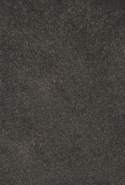 A close-up of the Divine Family Friendly Carpet in Charcoal reveals a dark, textured surface with subtle gray specks, offering luxurious style and durability—perfect for sophisticated family spaces.