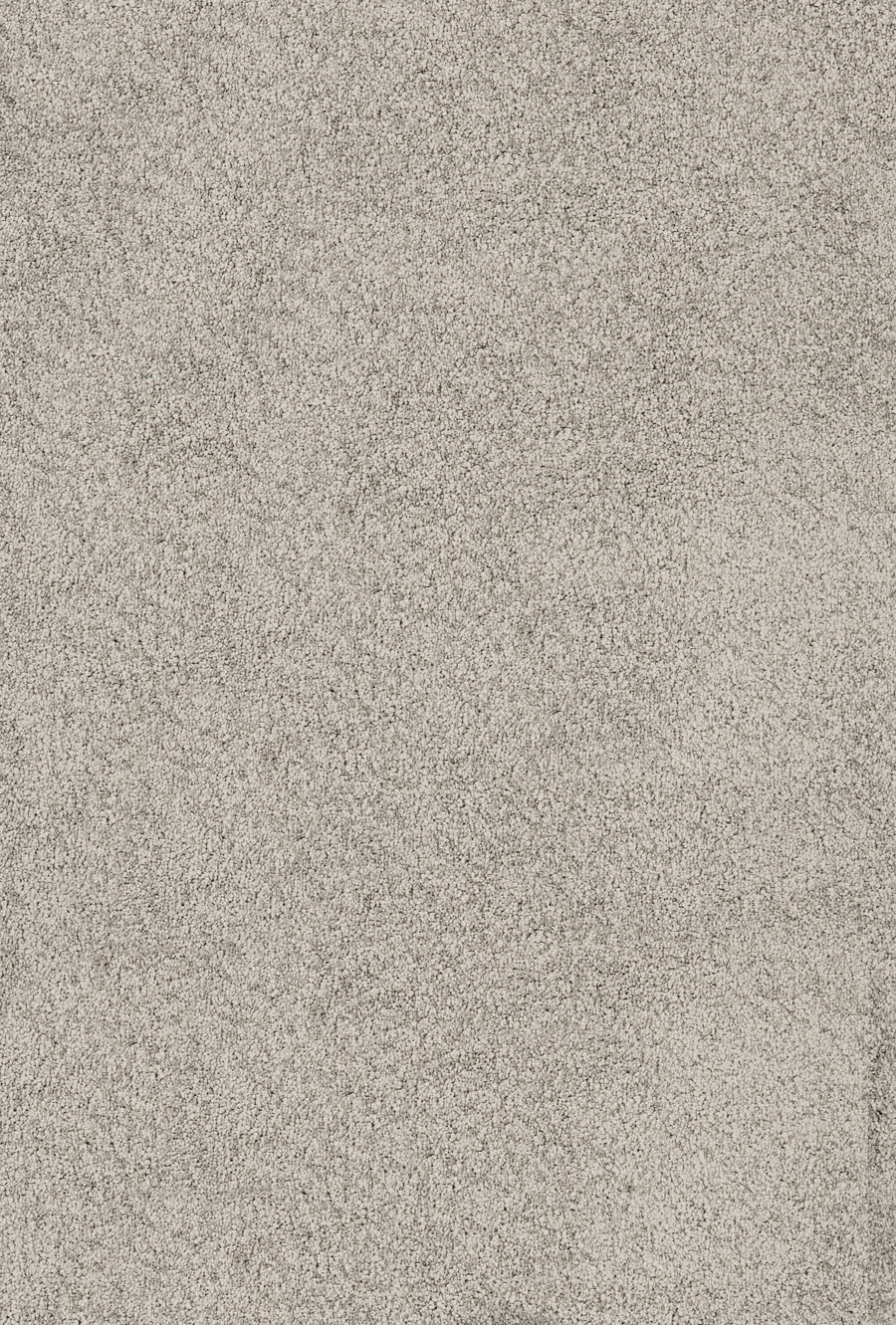 Close-up of Divine Family Friendly Carpet in Ash, featuring a soft, dense surface and tightly packed fibers for a uniform, plush appearance—ideal for comfortable, family-friendly spaces.