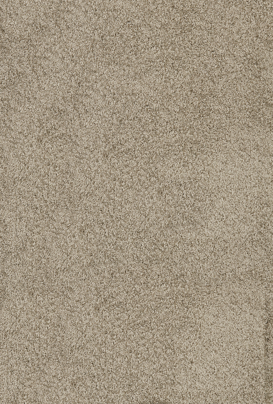 Close-up of the Divine Family Friendly Carpet in Mushroom, featuring a textured surface with soft, uniform fibers and a neutral tone—an ideal choice that blends comfort and durability for family spaces.