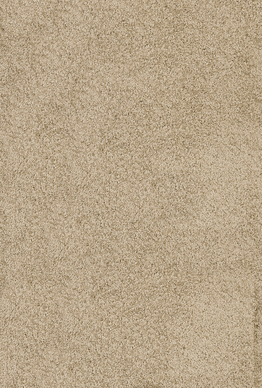 Close-up of Divine Family Friendly Carpet in Sand, featuring a textured surface with light brown and beige tones for a family-friendly look.