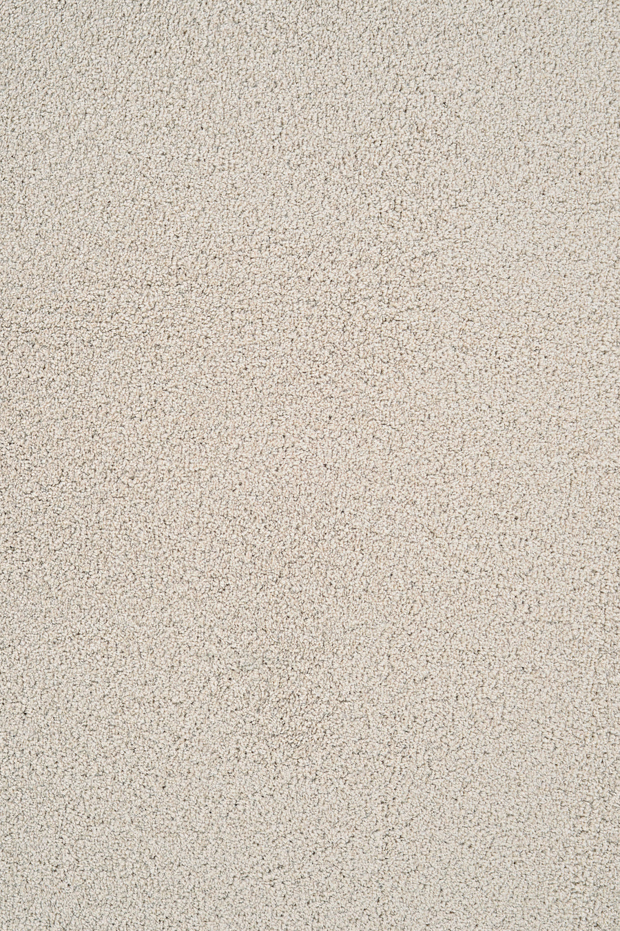 Close-up of Heavenly Family Friendly Carpet in Oat—a stain resistant, elegant carpet featuring a soft, grainy texture with small, irregular bumps for a practical yet luxurious look.