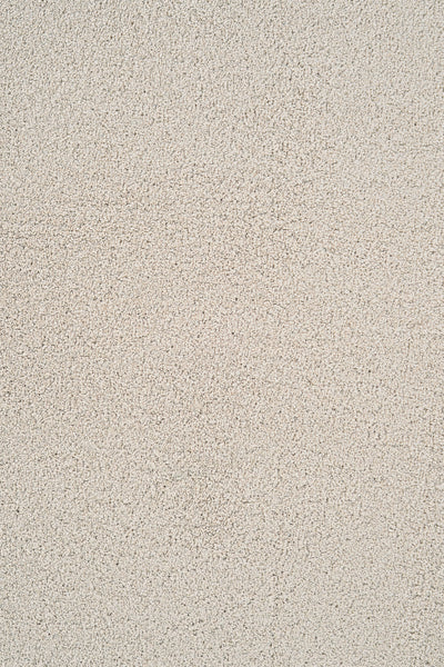 Close-up of Heavenly Family Friendly Carpet in Oat—a stain resistant, elegant carpet featuring a soft, grainy texture with small, irregular bumps for a practical yet luxurious look.