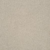 Parchment