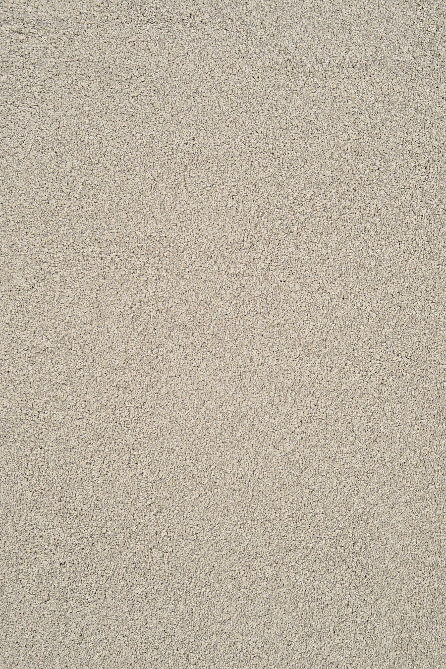 A close-up of Heavenly Family Friendly Carpet in Parchment shows fine, light beige fibers forming a uniform, elegant texture—perfect for creating an inviting family-friendly space.