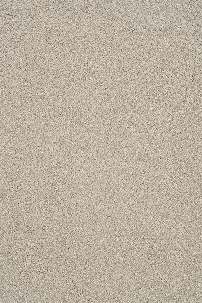 A close-up of Heavenly Family Friendly Carpet in Parchment shows fine, light beige fibers forming a uniform, elegant texture—perfect for creating an inviting family-friendly space.