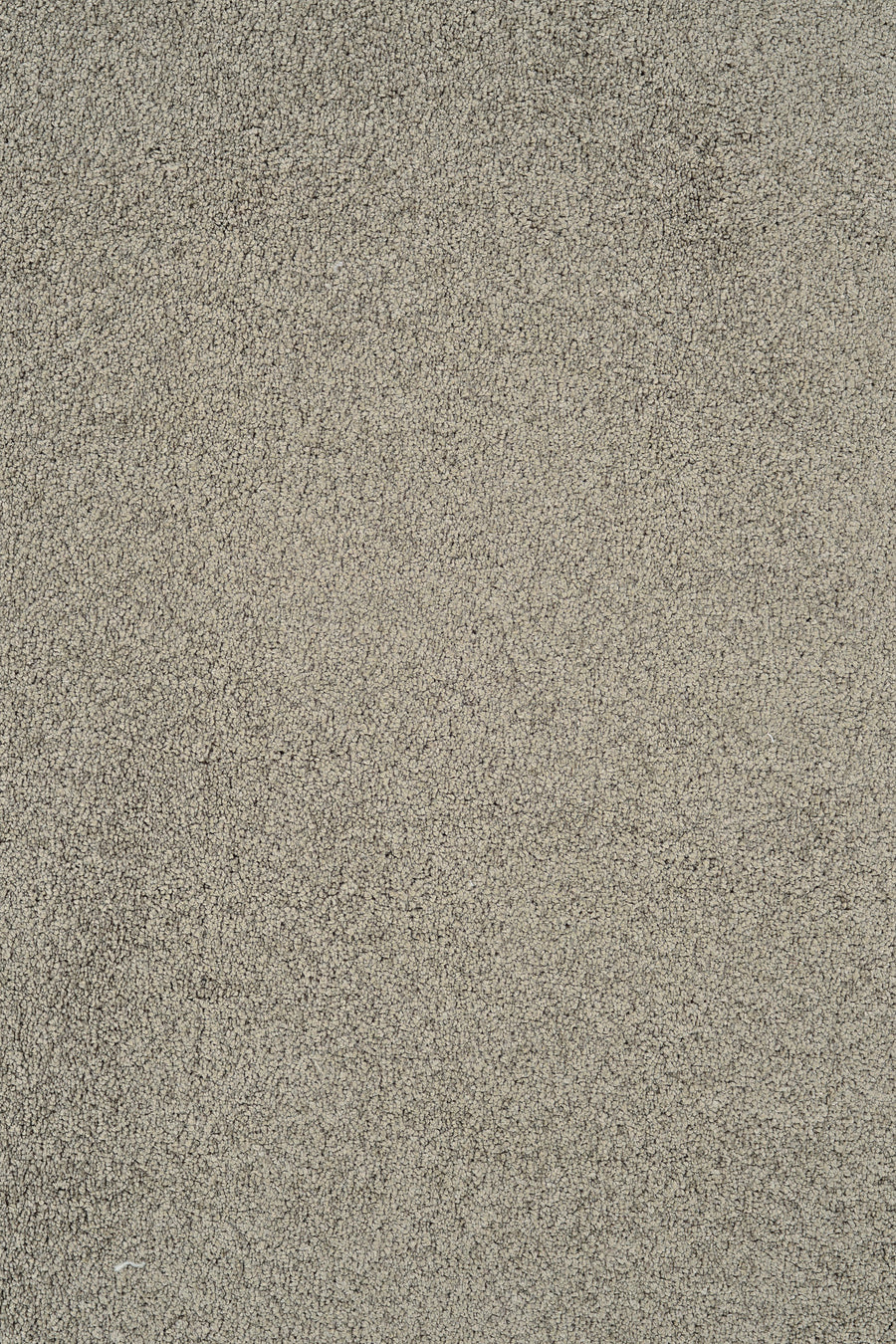 Close-up view of Heavenly Family Friendly Carpet in Pepper color. This carpet features a stain resistant, soft, and fuzzy texture with a clean, uniform look and family friendly pattern.