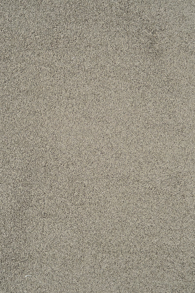 Close-up view of Heavenly Family Friendly Carpet in Pepper color. This carpet features a stain resistant, soft, and fuzzy texture with a clean, uniform look and family friendly pattern.