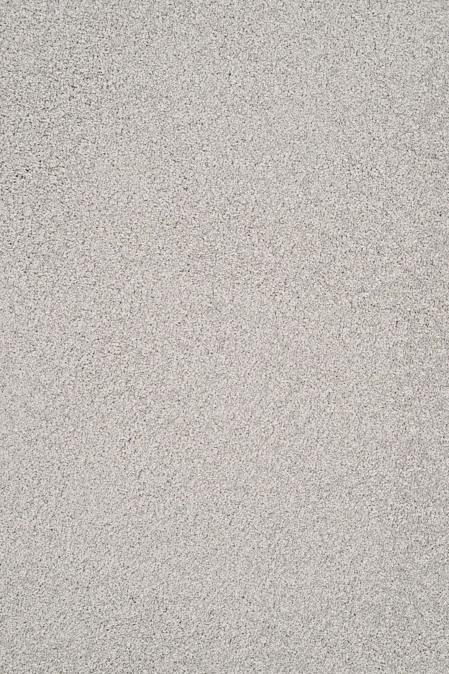 A close-up of the Heavenly Family Friendly Carpet in Fog—a soft, textured light gray surface with a luxurious, grainy look that’s both elegant and practical for any space.