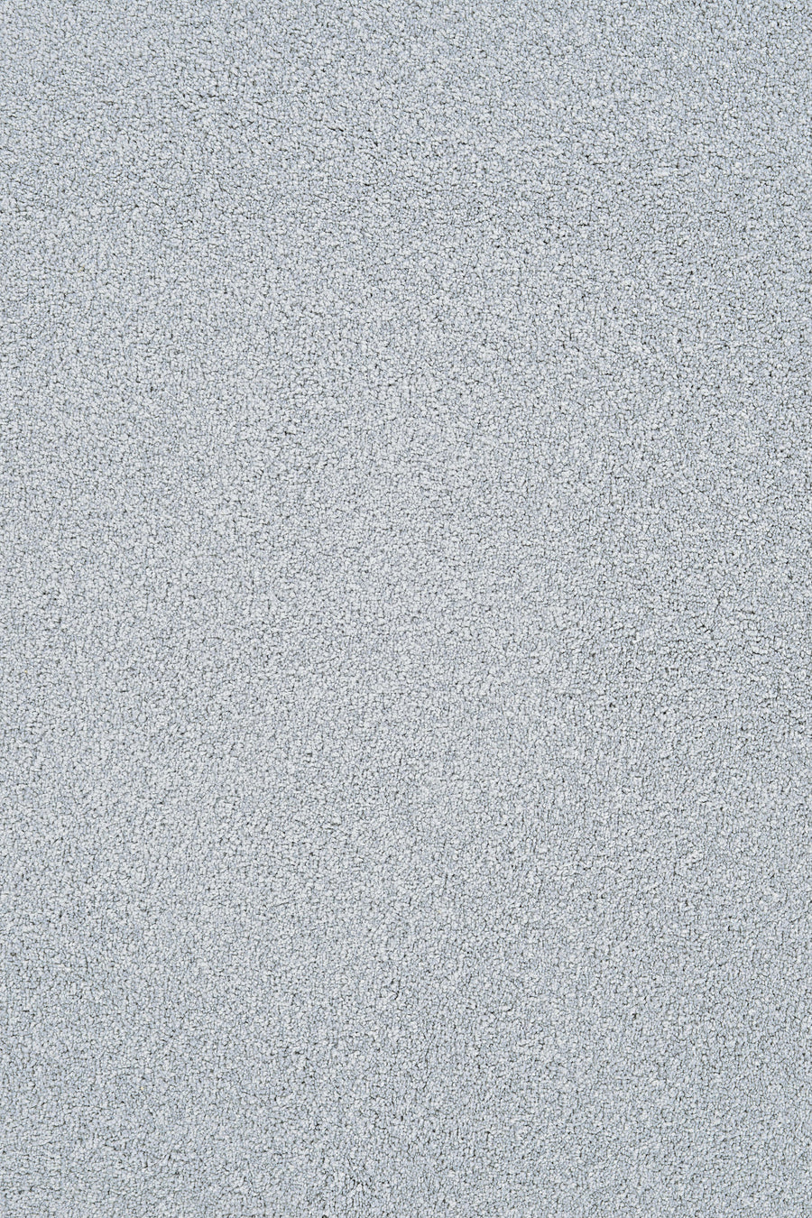 Close-up of the Heavenly Family Friendly Carpet in Pacific, featuring a light gray, textured surface with a uniform and soft look—perfect for any home.