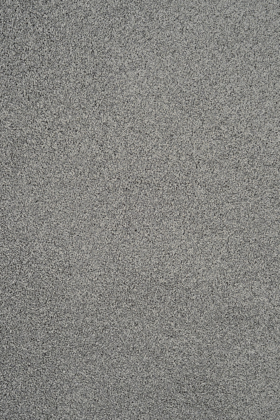 Close-up of Heavenly Family Friendly Carpet in Flint—textured, gray, and uniform with a fine, granular look. Perfect inspiration for luxury flooring that’s stain resistant and ideal for family spaces.