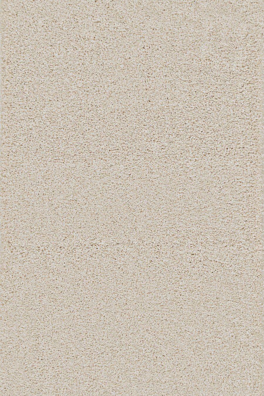Close-up of Heavenly II Family Friendly Carpet in Bone color, featuring a soft, plush texture with dense, even fibers for a cozy, inviting look—perfect for family-friendly spaces.