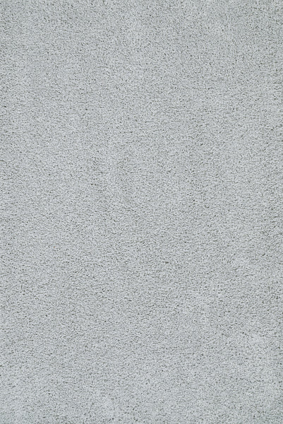 Close-up of Heavenly II Family Friendly Carpet in Sterling color, showing its soft, textured surface and dense fibers. The clean carpet appears uniform with subtle color variations from light and shadow.