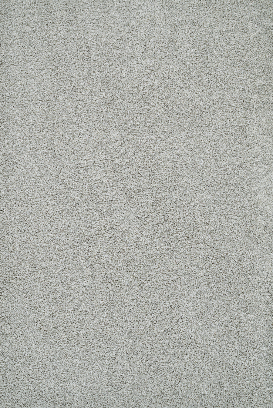 Close-up of Heavenly II Family Friendly Carpet in Platinum—a light gray, luxuriously soft and textured surface designed for high-traffic homes seeking style and durability. No patterns or objects; focus is on the carpet material.