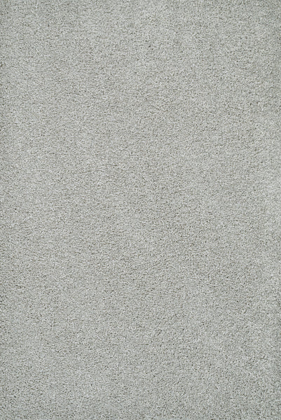 Close-up of Heavenly II Family Friendly Carpet in Platinum—a light gray, luxuriously soft and textured surface designed for high-traffic homes seeking style and durability. No patterns or objects; focus is on the carpet material.