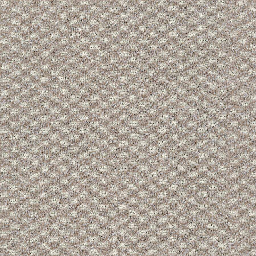 Close-up of Calm Pet Friendly Carpet in beige with a textured, looped woven pattern. The dense, soft surface is ideal for pet owners, featuring a uniform, neutral-toned design.