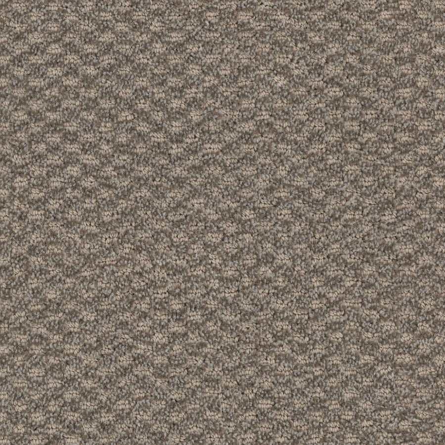 Close-up of the Calm Pet Friendly Carpet, featuring a luxurious, textured wave pattern and detailed weave. Its mix of light and dark brown tones makes it perfect for pet owners seeking both style and comfort.