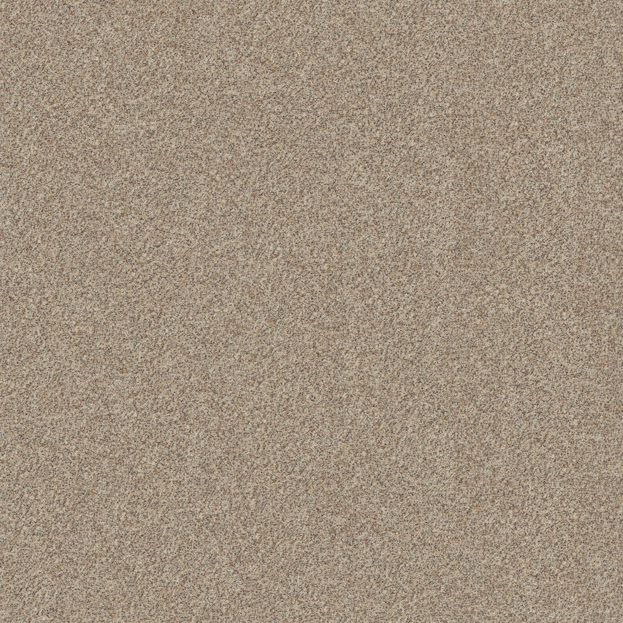 Close-up view of Canyon Lake Family Friendly Carpet in Calm Ivory, showcasing its textured surface with evenly spread fibers that resemble natural sand, creating a consistent and inviting appearance across the entire area.