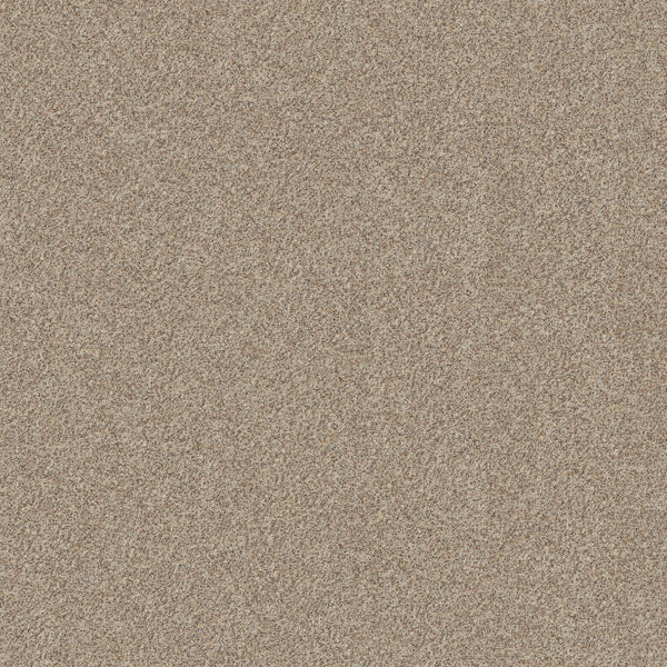 Close-up view of Canyon Lake Family Friendly Carpet in Calm Ivory, showcasing its textured surface with evenly spread fibers that resemble natural sand, creating a consistent and inviting appearance across the entire area.