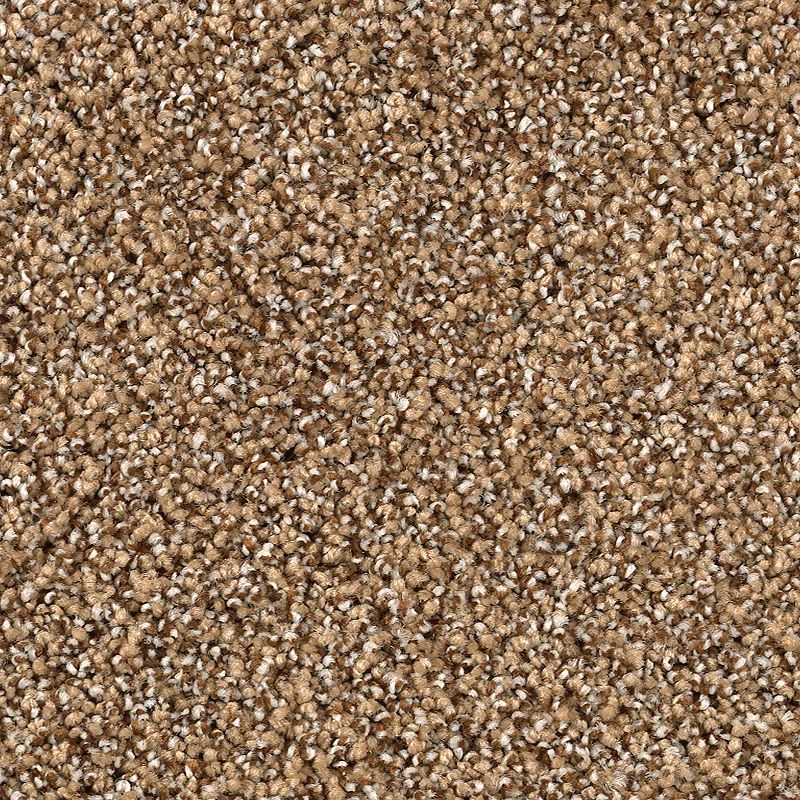 Close-up of Shaded Escape Family Friendly Carpet in Camel. Its tightly woven, looped fibers create a plush, dense texture, making this durable carpet a soft and practical choice for any family space.