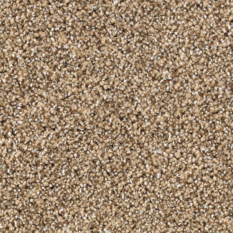 Close-up of Shaded Escape Family Friendly Carpet in Camelot, featuring a plush, speckled looped texture with light and dark fibers for lasting durability and an inviting look—perfect for family spaces.